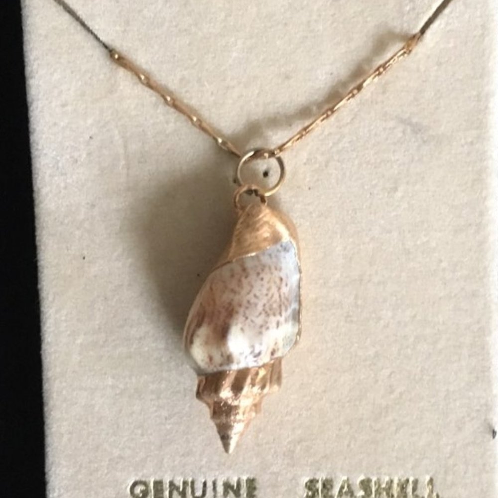 Sea Shell Gold Plated Necklace